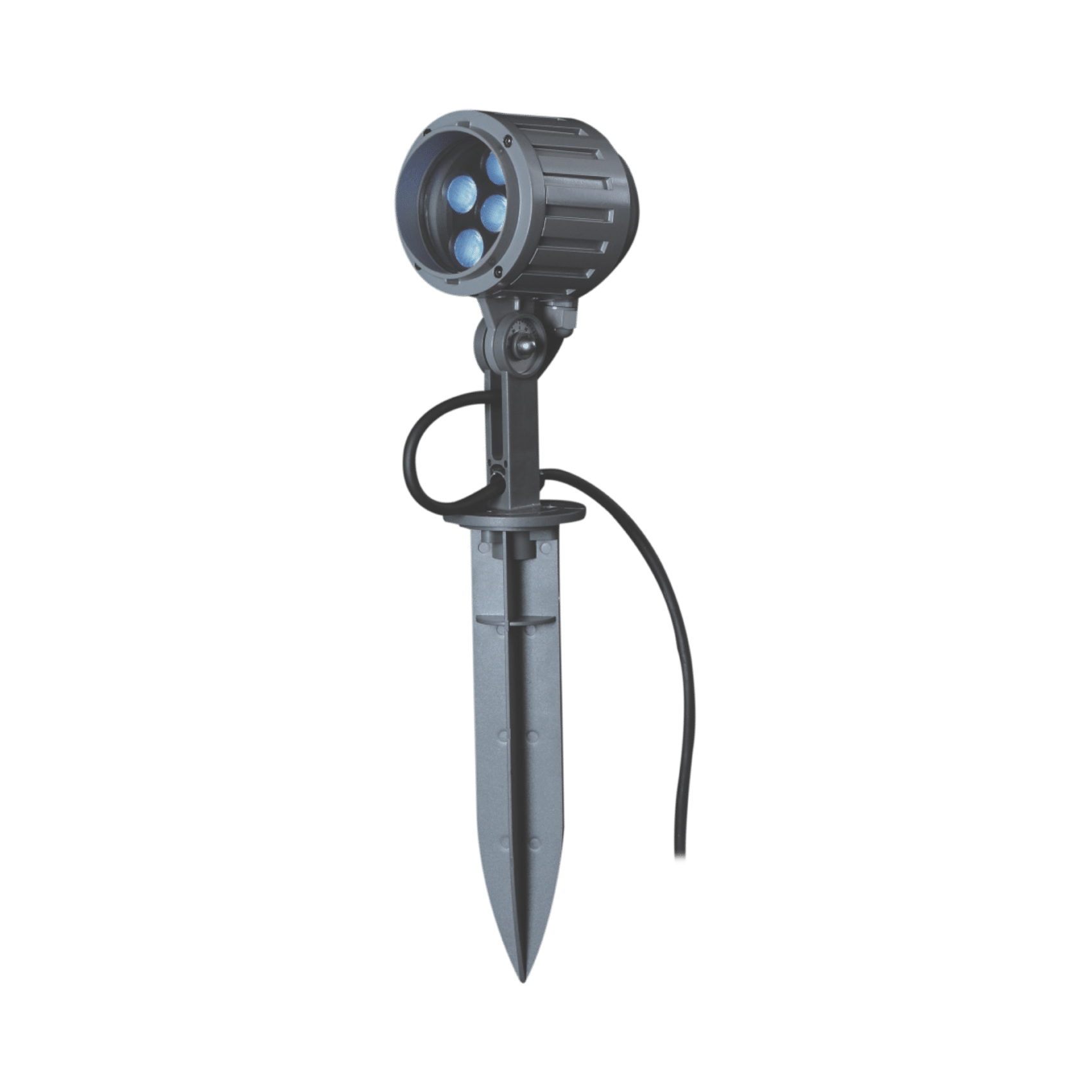 Focus Light 10