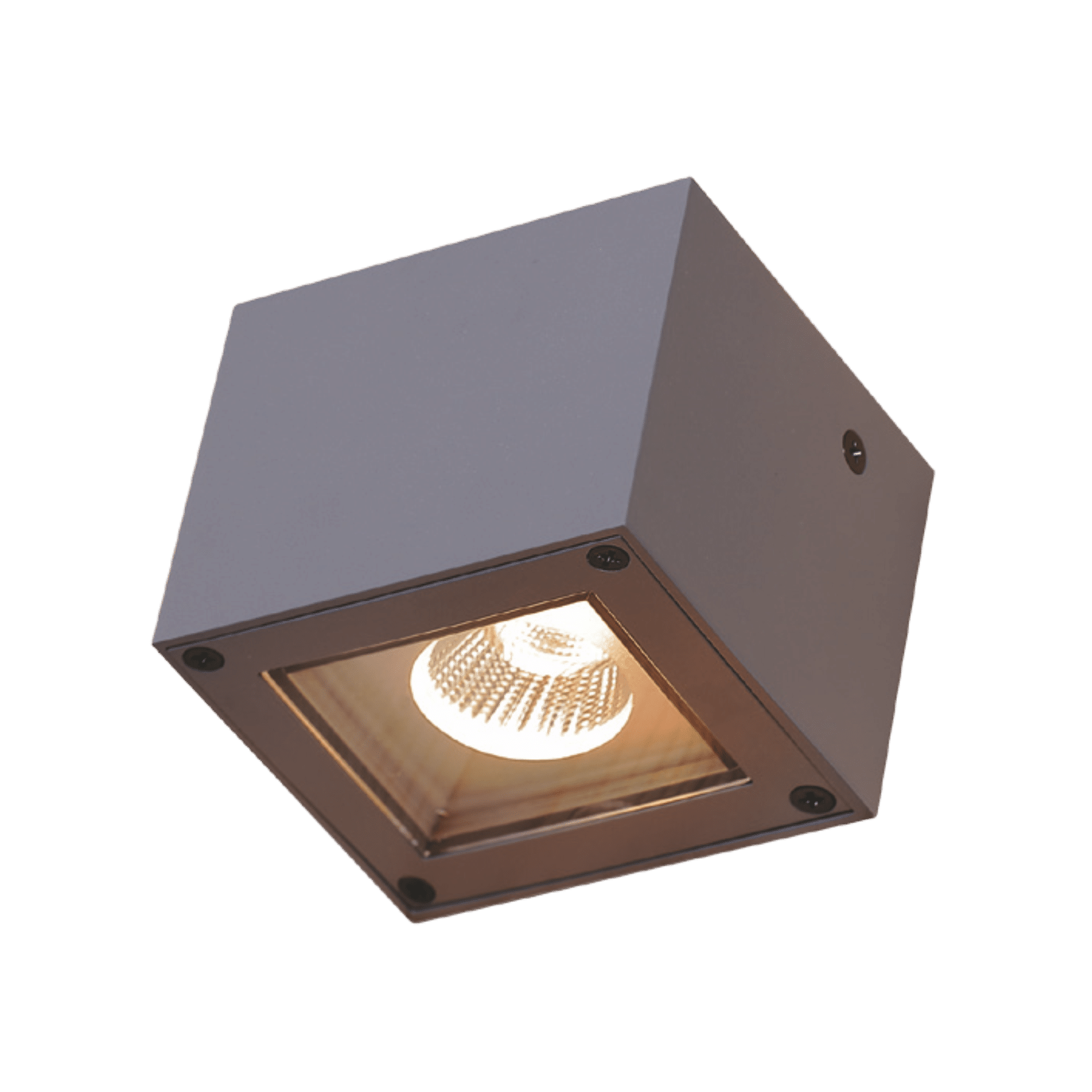 Wall Mounted Light 16