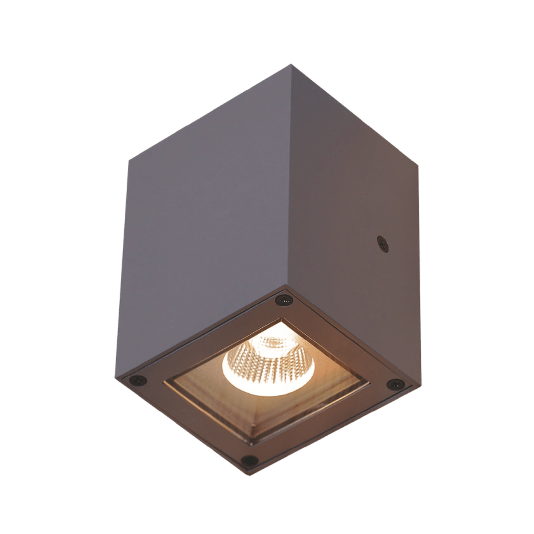 Wall Mounted Light 17