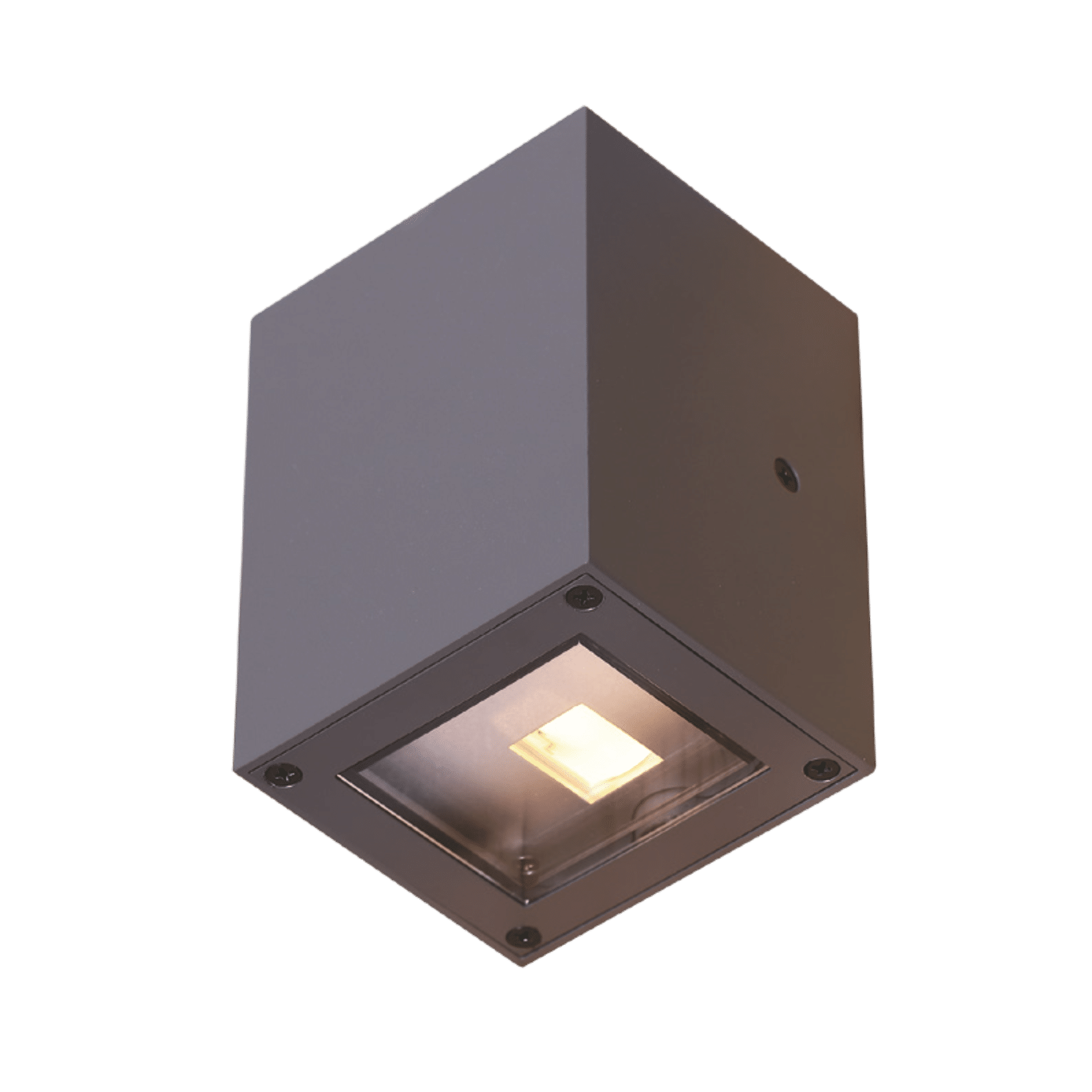 Wall Mounted Light 19
