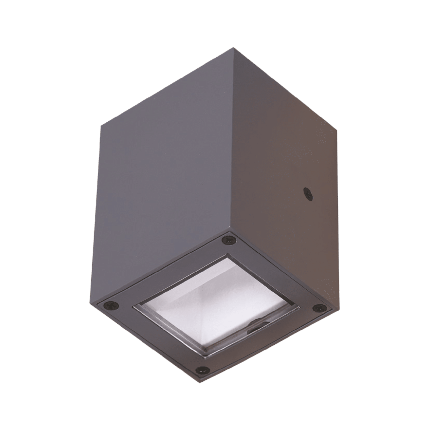 Wall Mounted Light 20