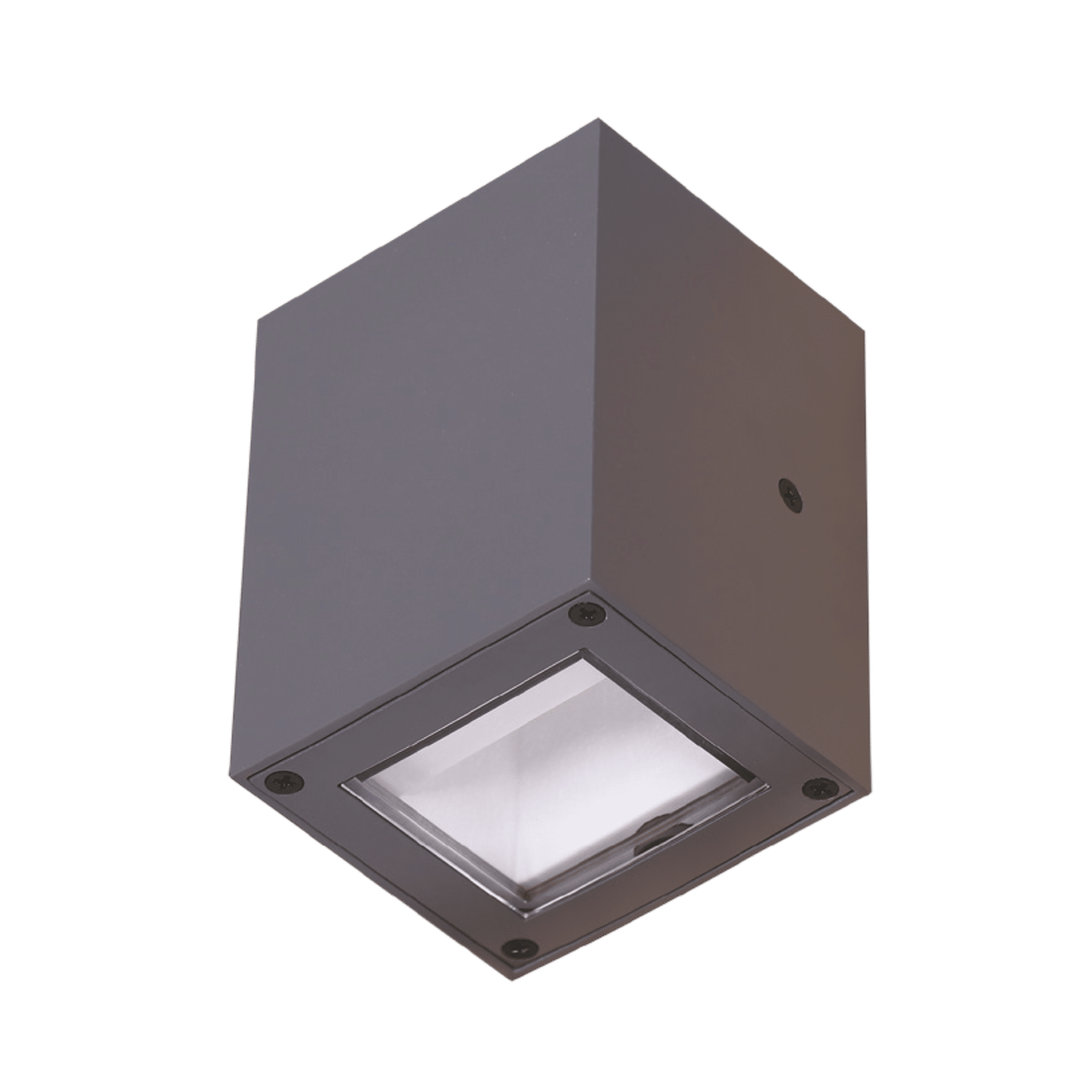 Wall Mounted Light 21